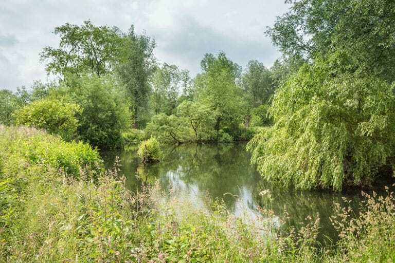 350 Acre Grand Stately Home image 29
