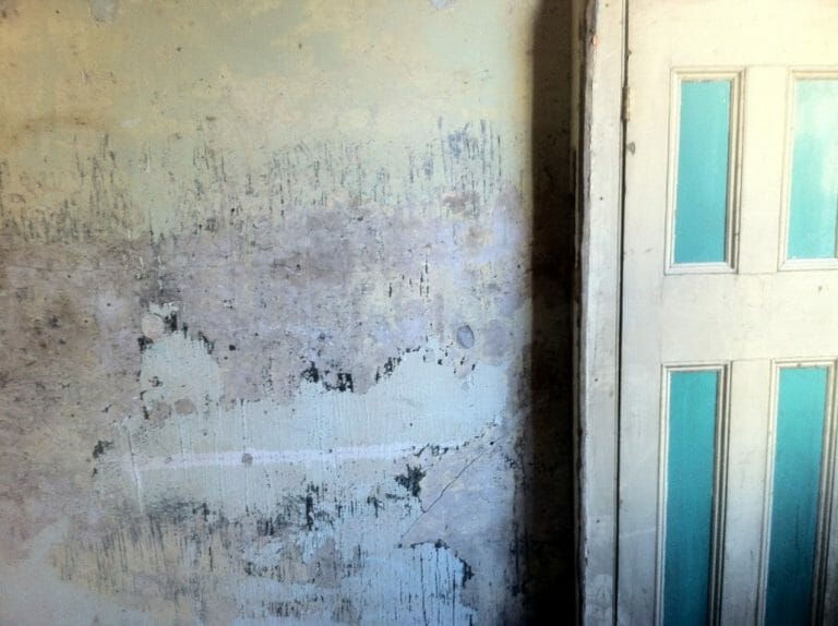7,500 Sq. Ft. Studio With Its Own Private Road image 90