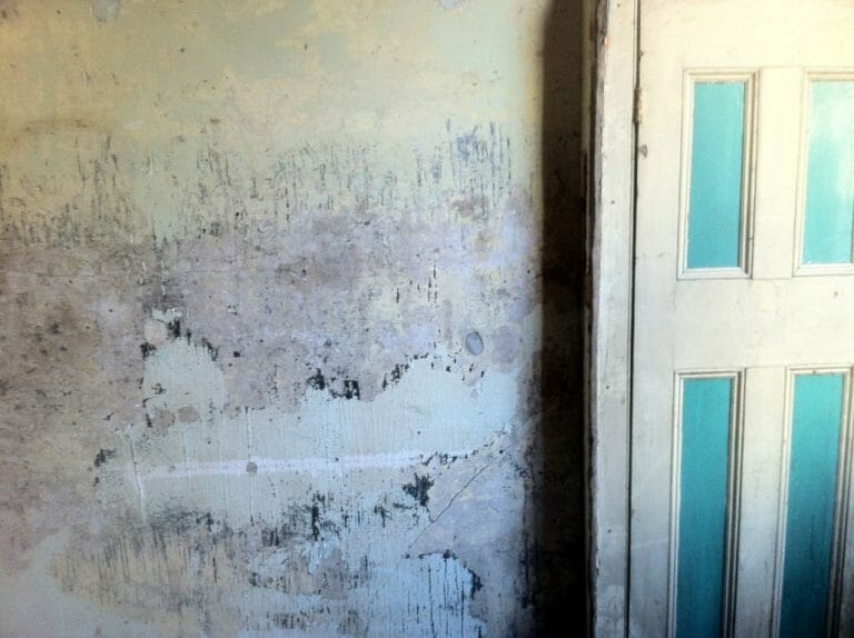 7,500 Sq. Ft. Studio With Its Own Private Road image 107
