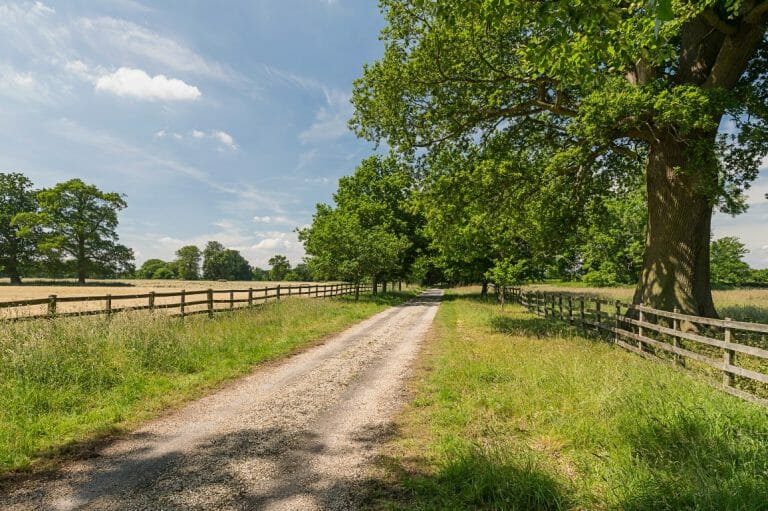 Grade II Listed Country Home image 29