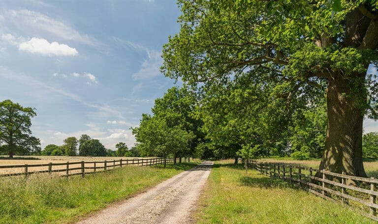 Grade II Listed Country Home image 30