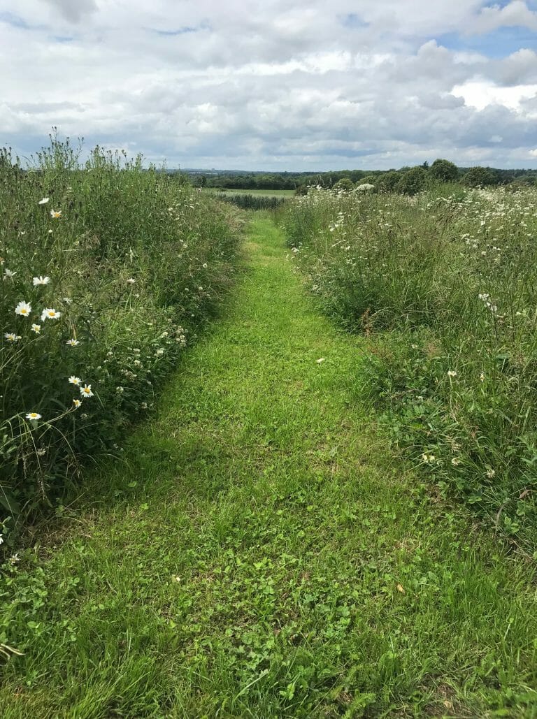 Hampshire Farmhouse image 29