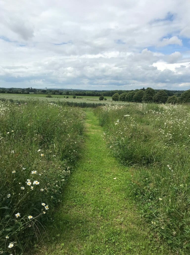 Hampshire Farmhouse image 30