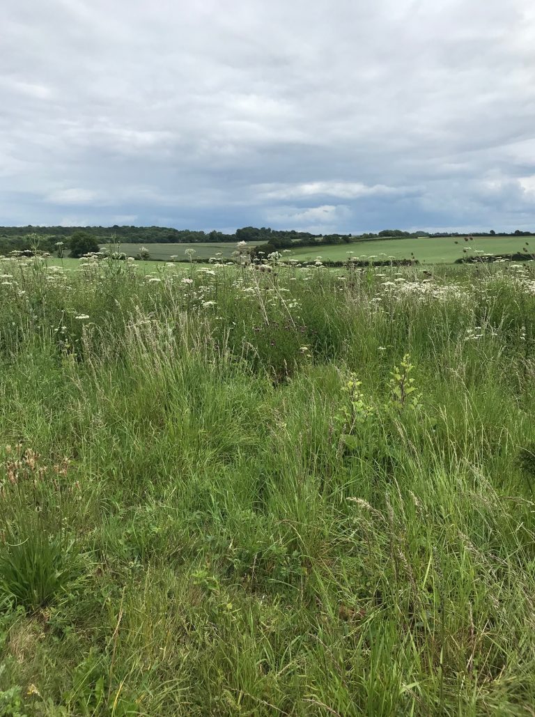 Hampshire Farmhouse image 33