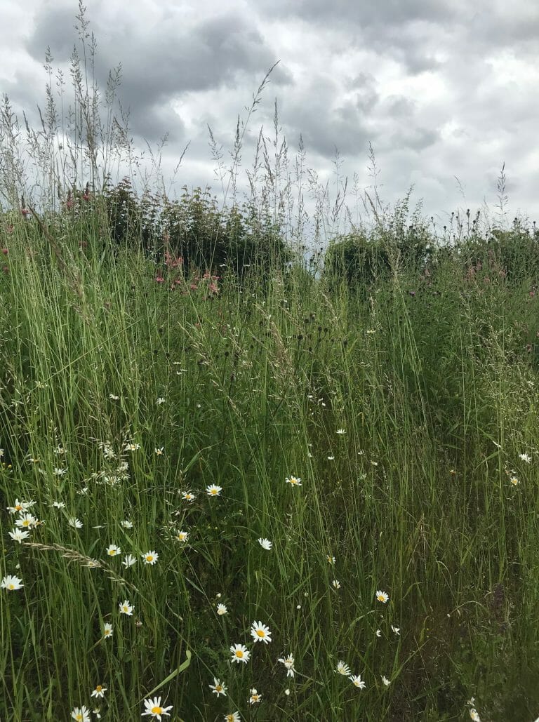 Hampshire Farmhouse image 34