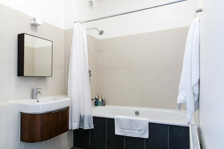 New York Style Penthouse image 8