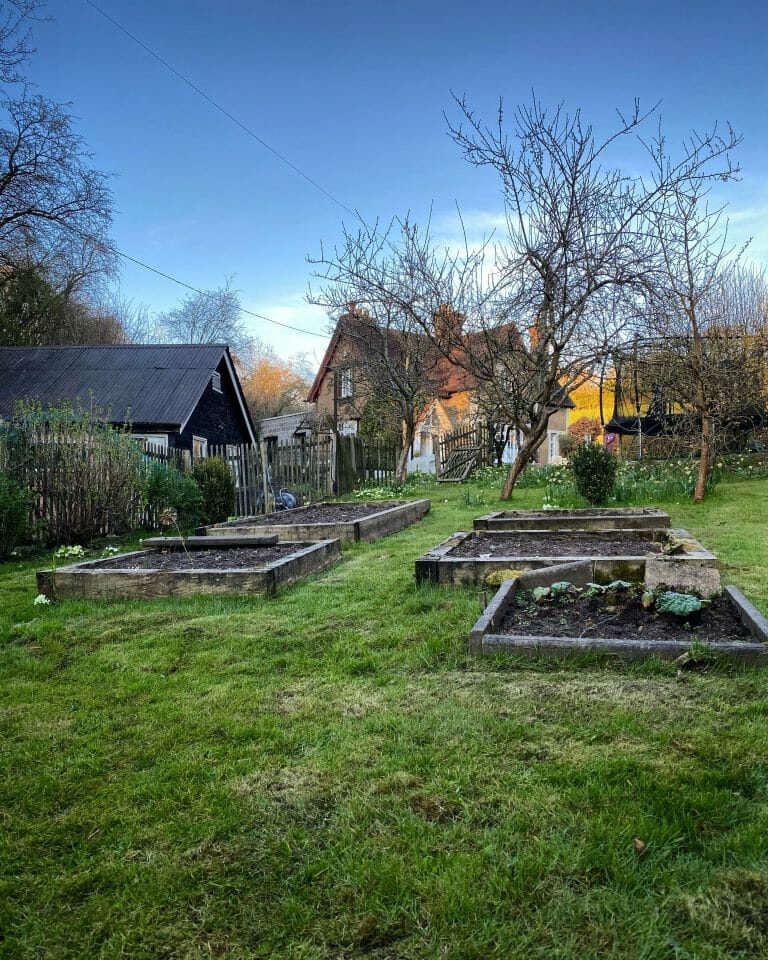 Renovated Cottage image 4