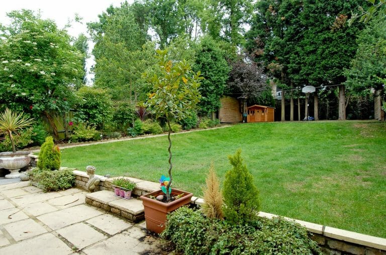 Detached Property in South West London image 30