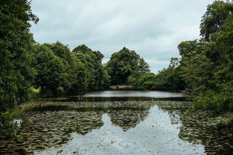 Castle in Kent image 41