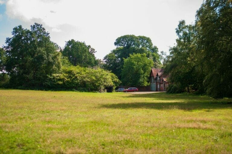 Privately Owned Woodland in Farnham image 12