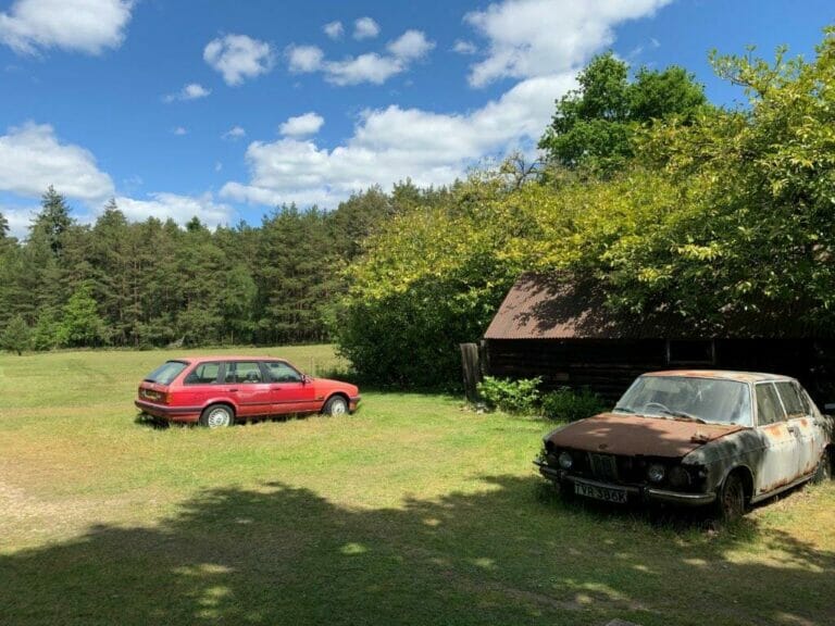 Privately Owned Woodland in Farnham image 21