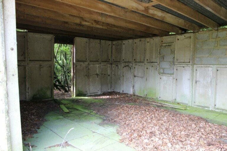 Privately Owned Woodland in Farnham image 23