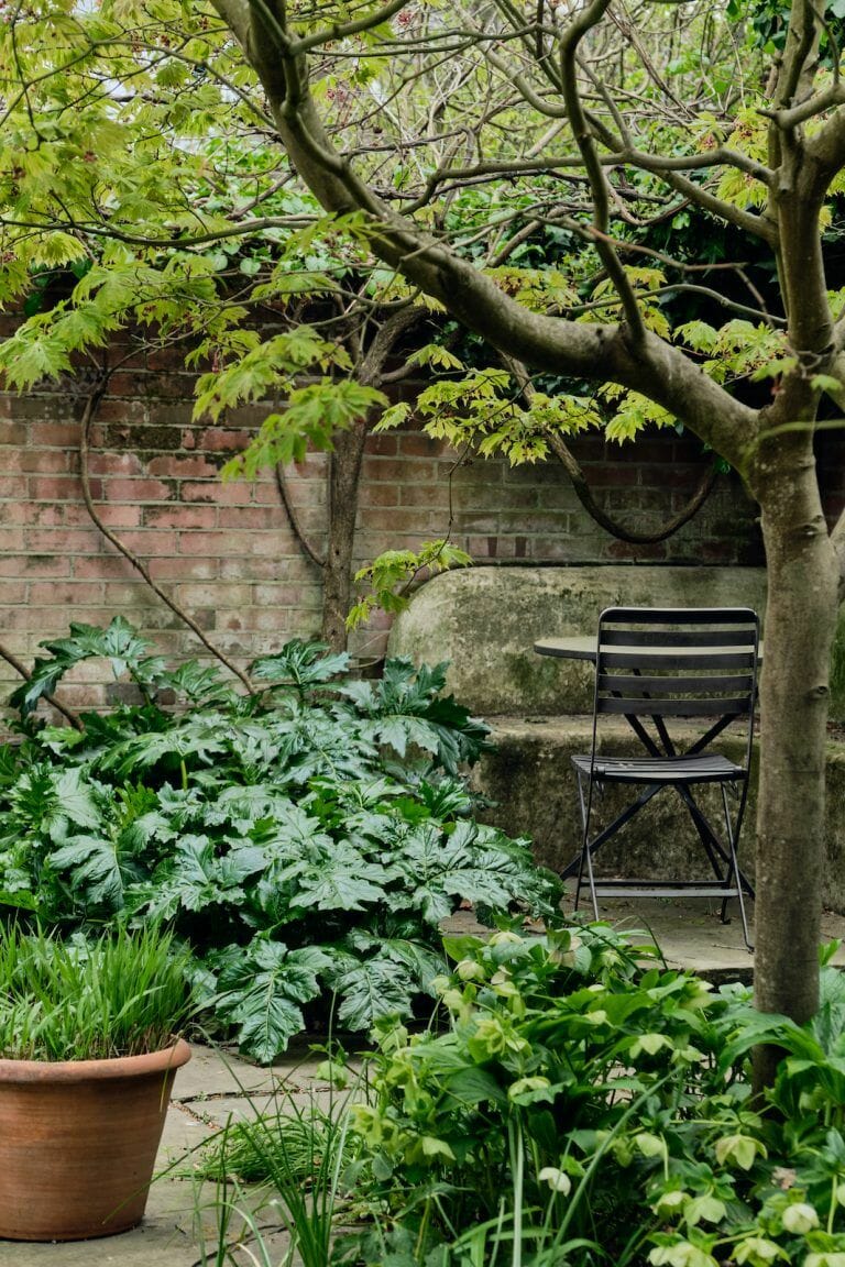 Highgate Home image 17