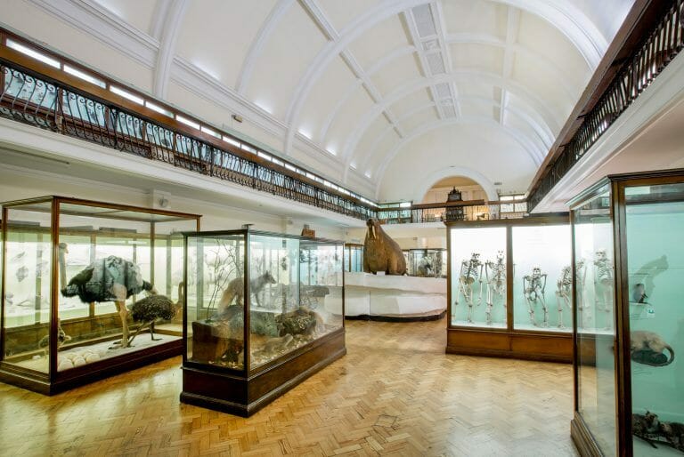 London Gallery with Gardens image 2