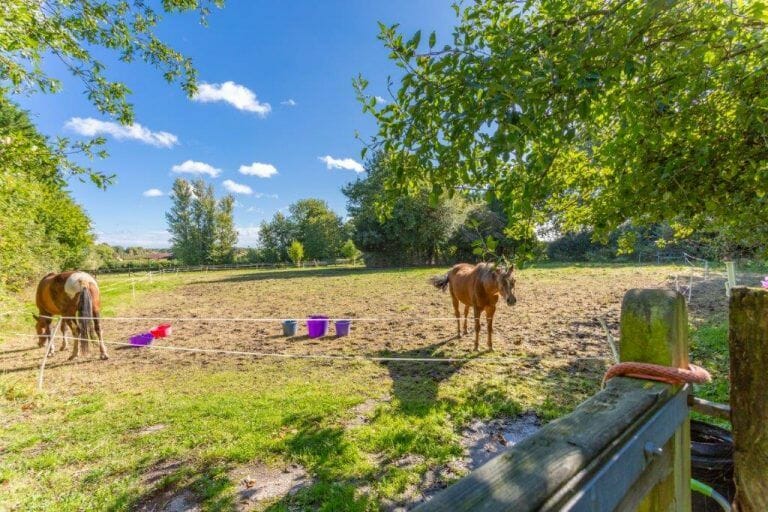 Windlesham Farmhouse with Stables image 25