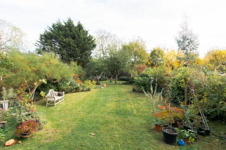 Large Detached Victorian Home image 46