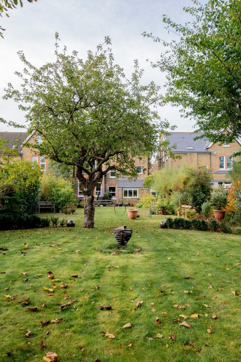 Large Detached Victorian Home image 48