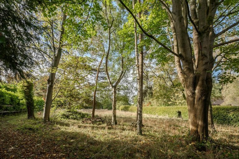 Countryside Family Home image 44