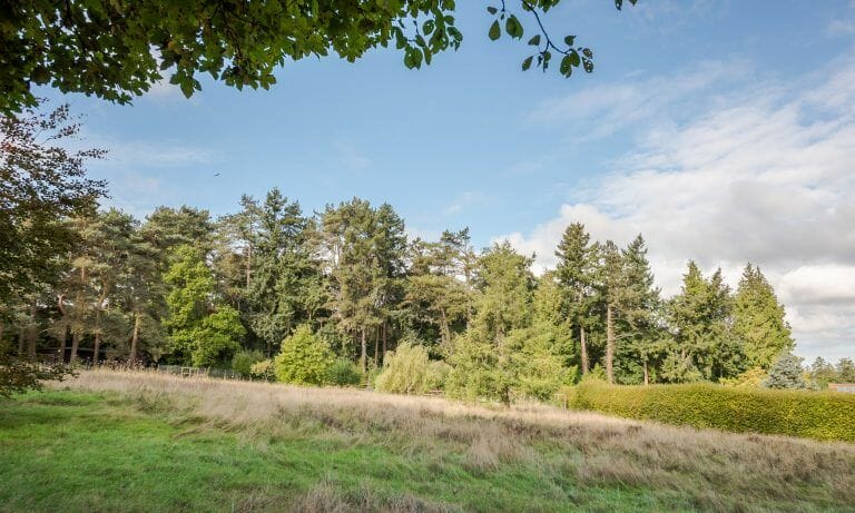 Countryside Family Home image 43