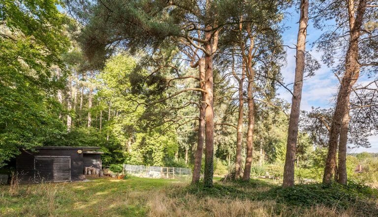 Countryside Family Home image 41