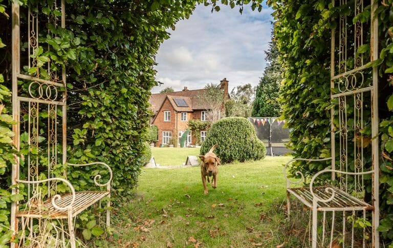 Countryside Family Home image 35