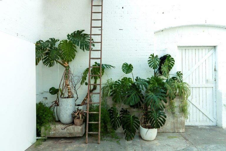 Hackney Warehouse image 34