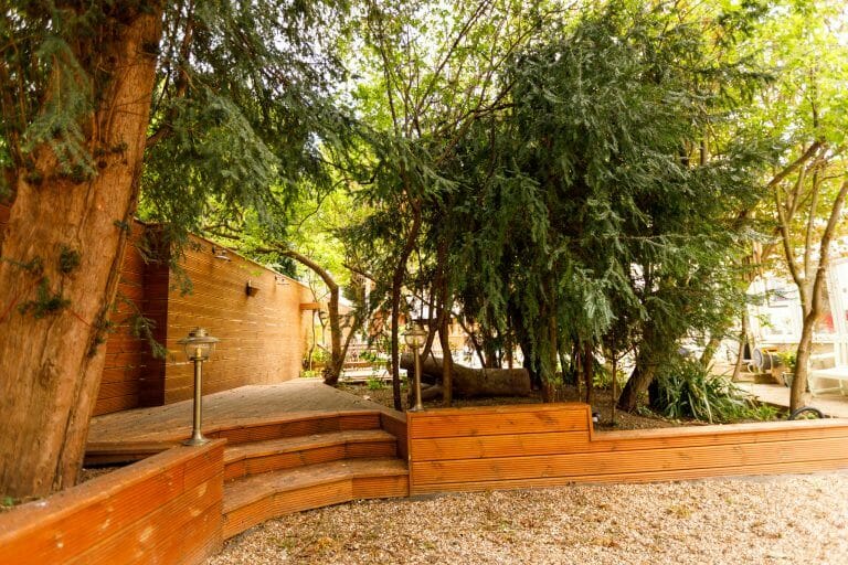 North London Bungalow image 24