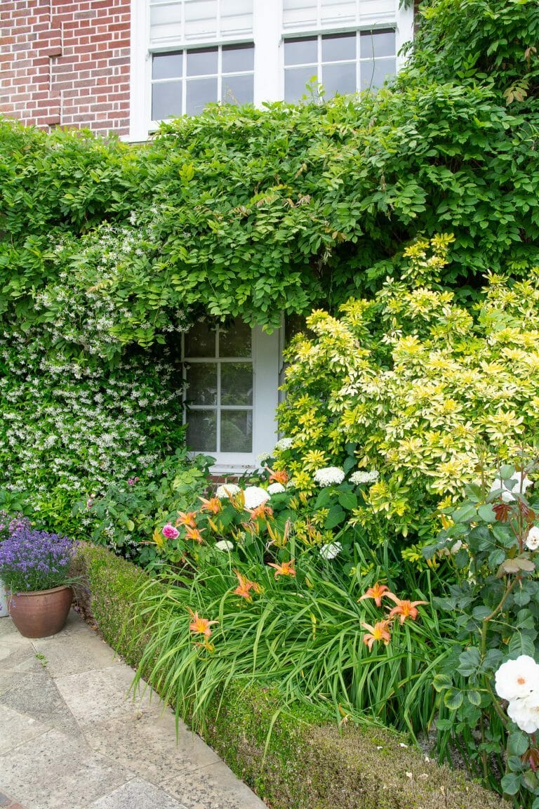 Highgate Home image 35