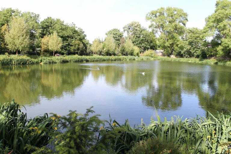Grand Manor House with Private Lake image 22