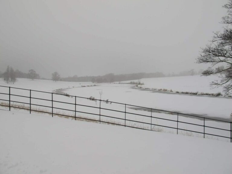 Grand English Estate image 89