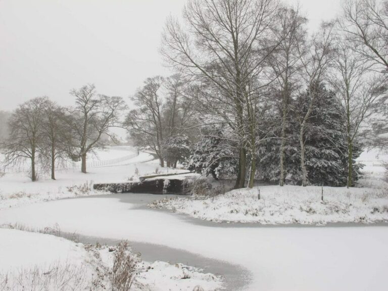 Grand English Estate image 90