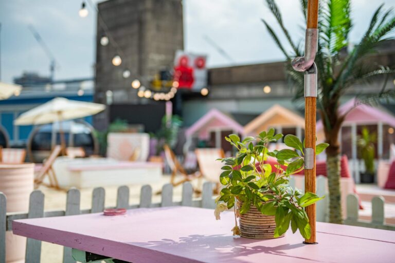 Quirky Beach & Winter Wonderland Bar image 17