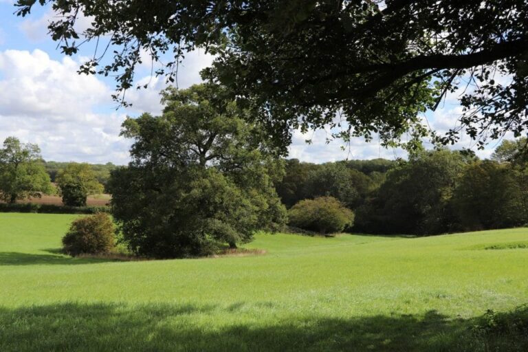 Grand English Estate image 91