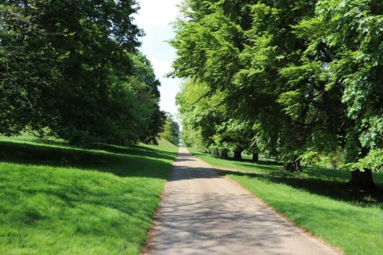 Grand English Estate image 70