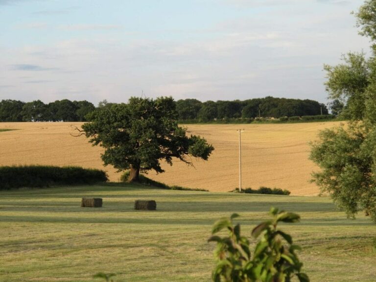 Large Private Farm and Fields image 30