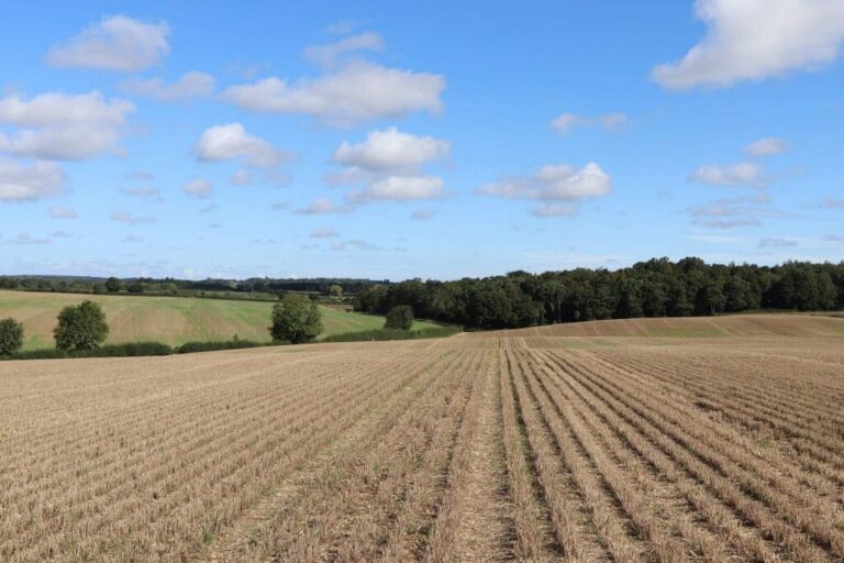 Large Private Farm and Fields image 28