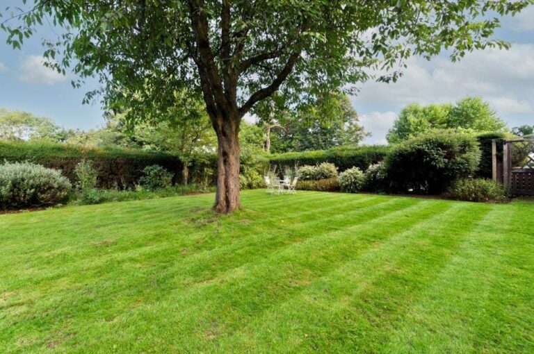 Grand Country House Guildford image 37