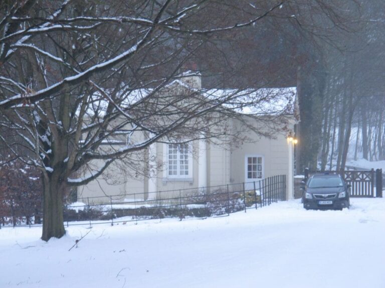 Grand English Estate image 59