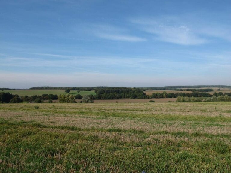 Grand English Estate image 62