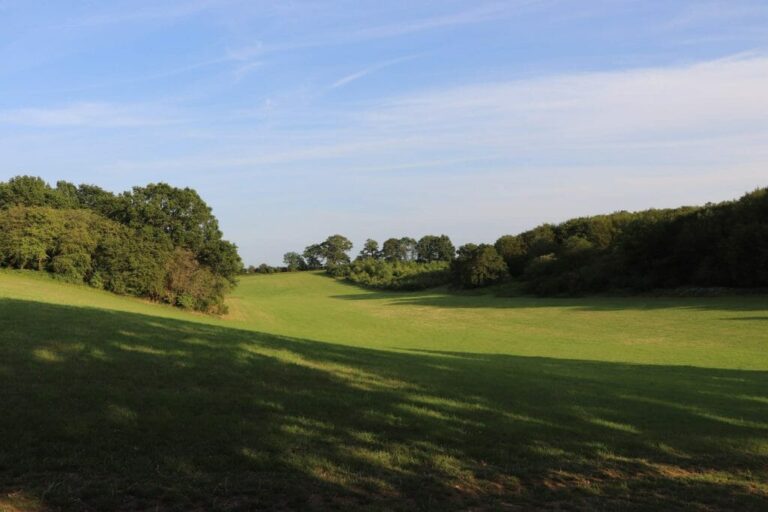 Grand English Estate image 66