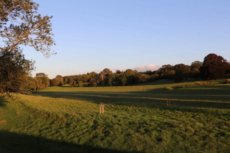 Grand English Estate image 35