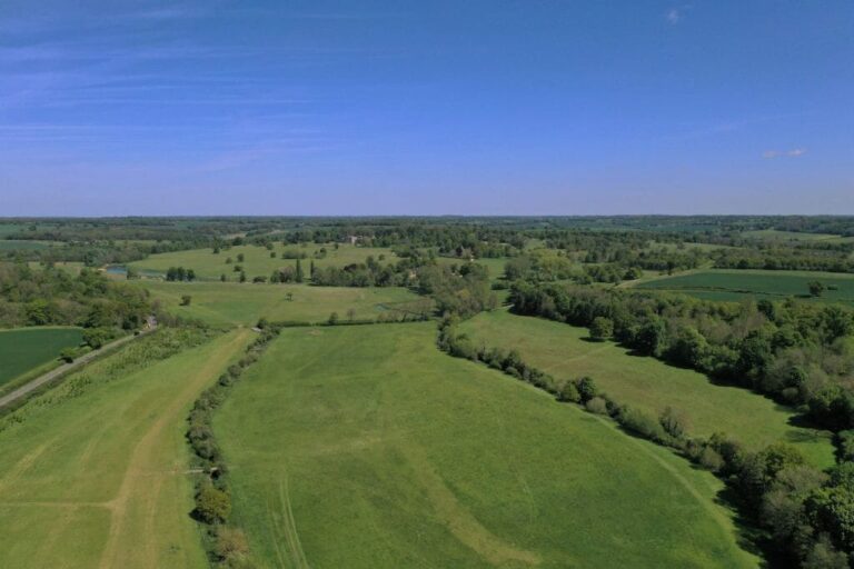 Grand English Estate image 63