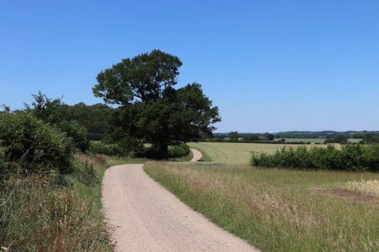 Grand English Estate image 38