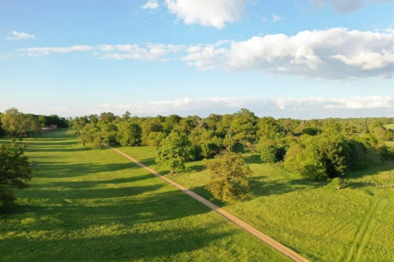 Grand English Estate image 40