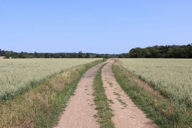 Grand English Estate image 42