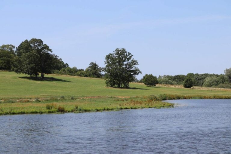 Grand English Estate image 43