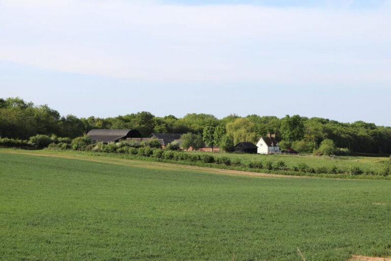 Large Private Farm and Fields image 21