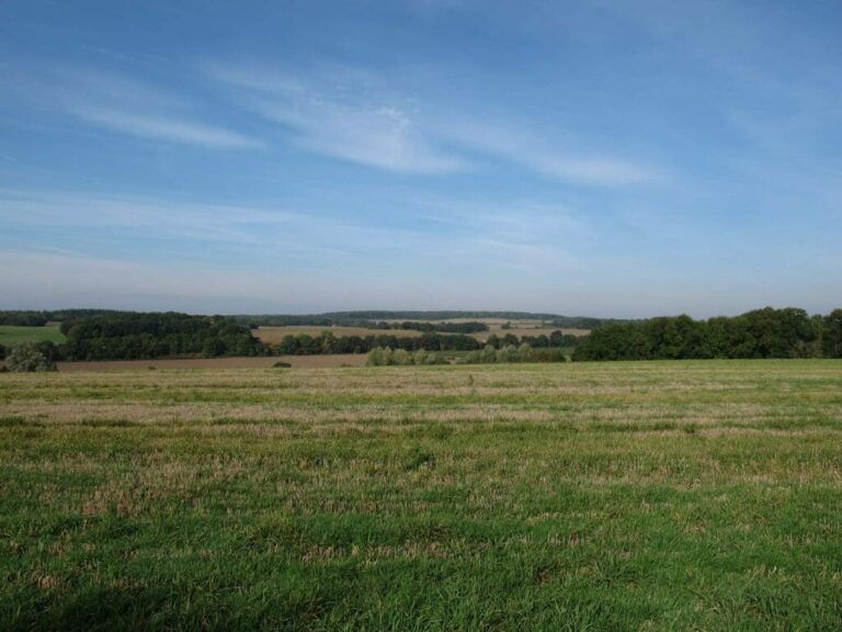 Large Private Farm and Fields image 22