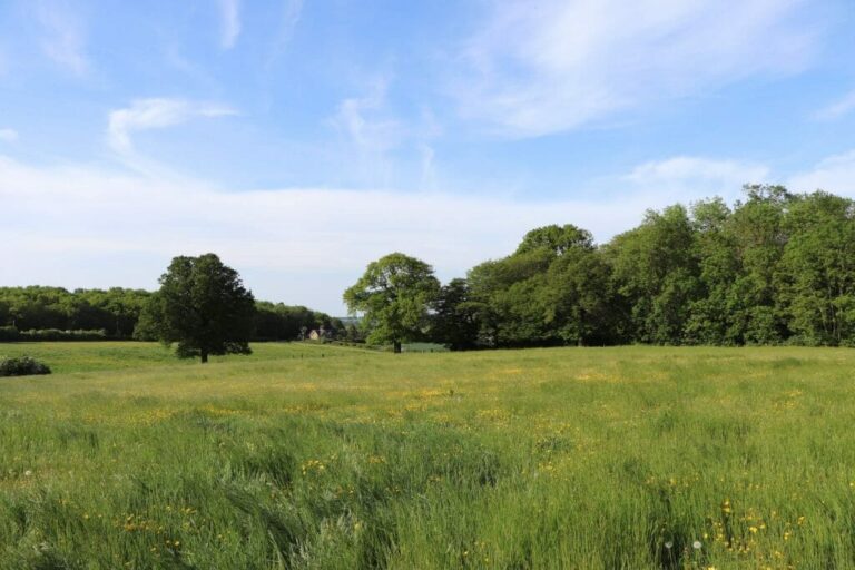 Grand English Estate image 53