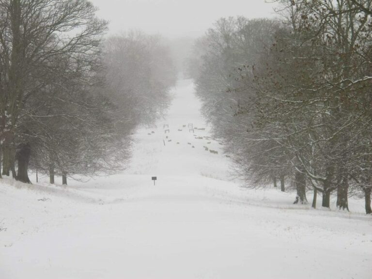 Grand English Estate image 54